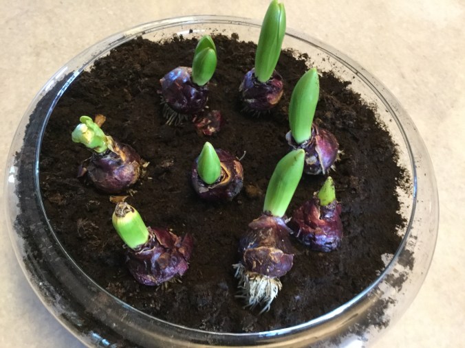 B832B17D-30E6-4D40-92B6-D69537FEB45F