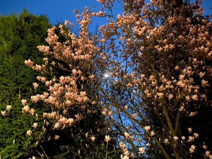 7F9C4104-08A3-4F0B-9CF4-5B5505F27E36