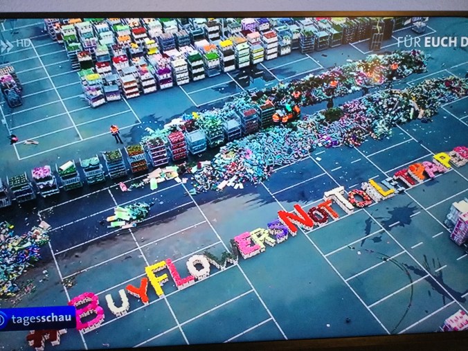 CD2F8CD5-4F7B-41EE-BE01-1D622CB2BF5D